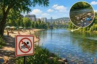 Avertisment la Cluj: nu intrați în apa Someșului