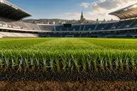 Cluj Arena primește gazon hibrid de 300.000 de euro