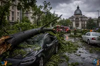 Furtuna din București: peste 1.000 de copaci căzuți