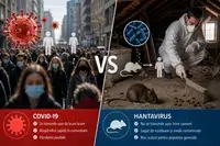 Hantavirus în România: ce se știe despre cazul de la Arad și cât de mare este riscul real