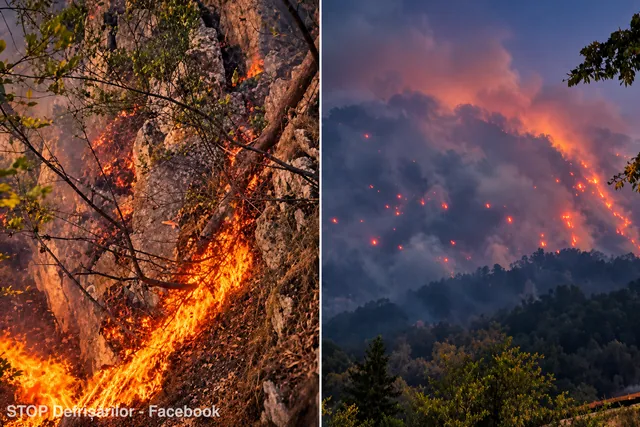 Incendiu în Domogled: intervenții dificile pe 400 de hectare