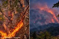 Incendiu în Domogled: intervenții dificile pe 400 de hectare