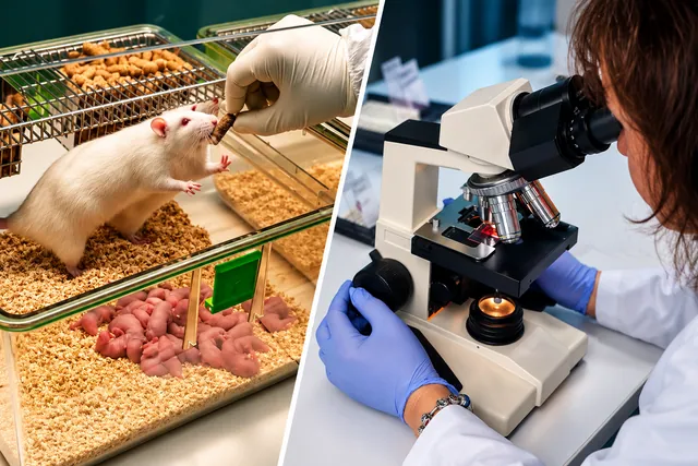 Meningita: tratament nou testat de Cantacuzino
