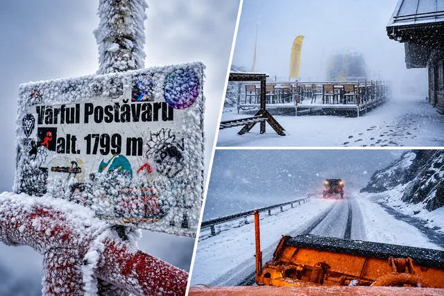 Ninge în Poiana Brașov și pe Transfăgărășan