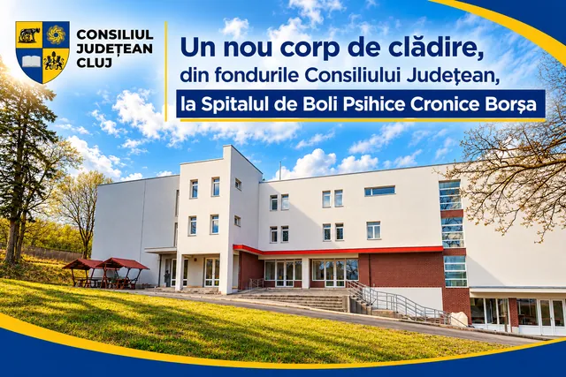 Spitalul de Psihiatrie Borșa: licitație de 4,48 milioane de lei