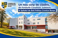 Spitalul de Psihiatrie Borșa: licitație de 4,48 milioane de lei