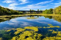 Valea Saulei devine arie naturală protejată în București