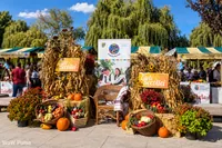 Zilele Recoltei 2026 au adus mii de produse locale la Cluj. Ce prețuri au găsit cumpărătorii